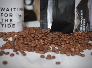 Sumatra - Single Origin - Dark Roast